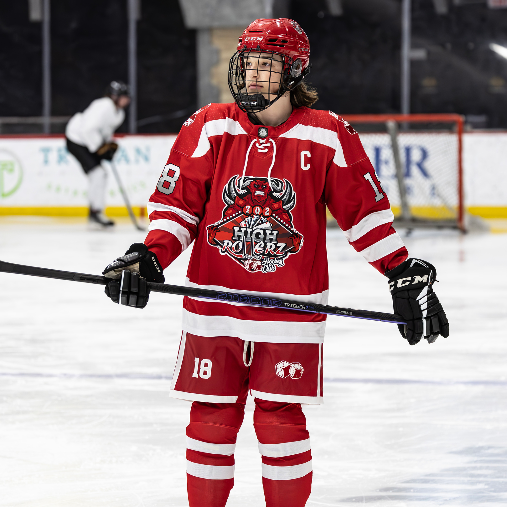 professional hockey jerseys