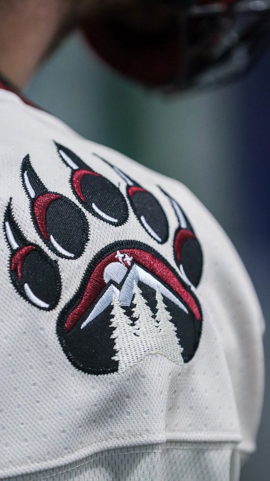 custom embroidery hockey jersey